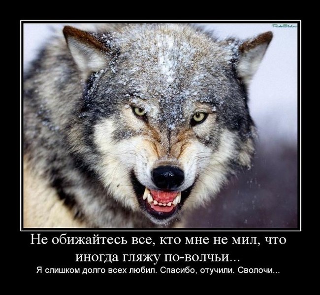 Степан Самосадский | Львов