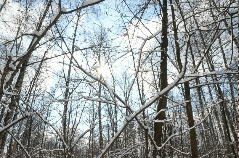 Георгий Бочин | Москва