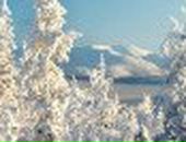 Людмила Артемьева Milka | Мурманск