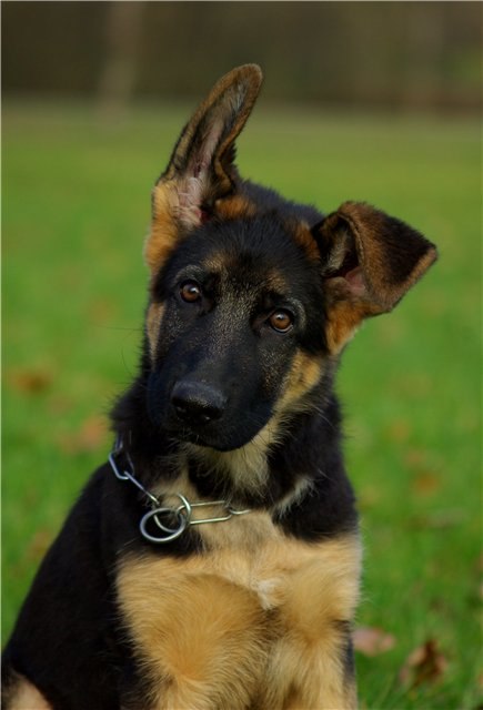 Диана Каплий (^_____^) | Москва