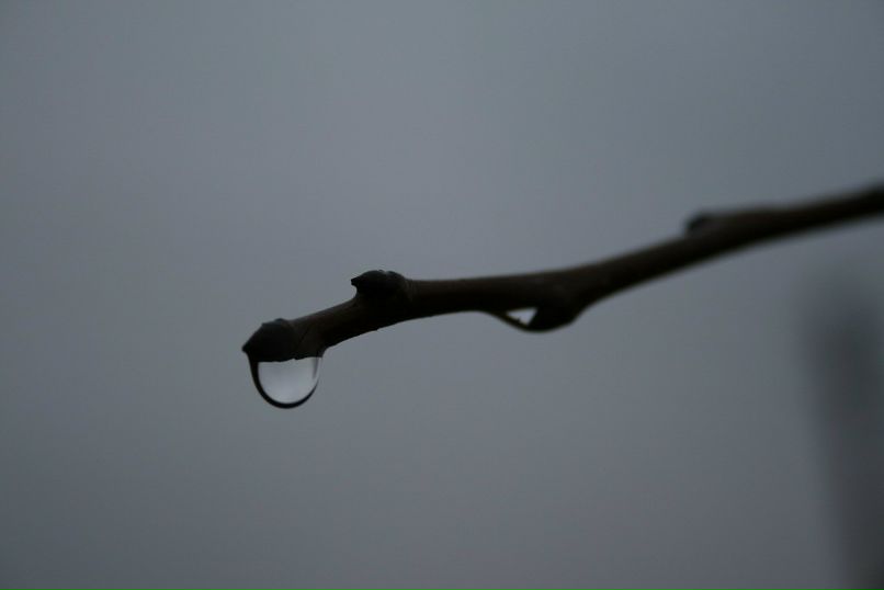 Елена Вальченко Владимировна | Энергодар