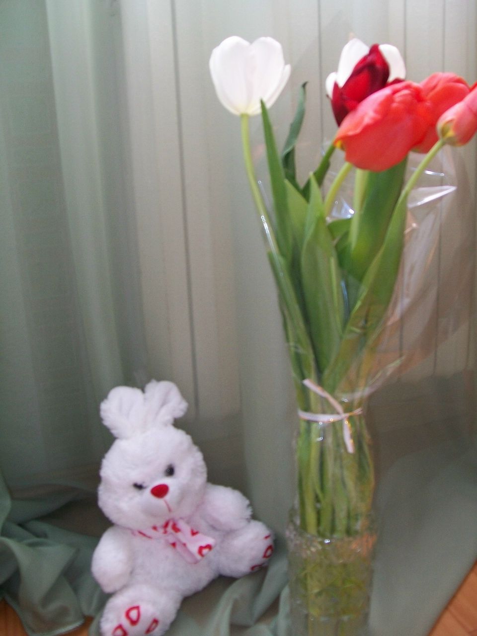 Анна Шевцова Валерьевна | Минск