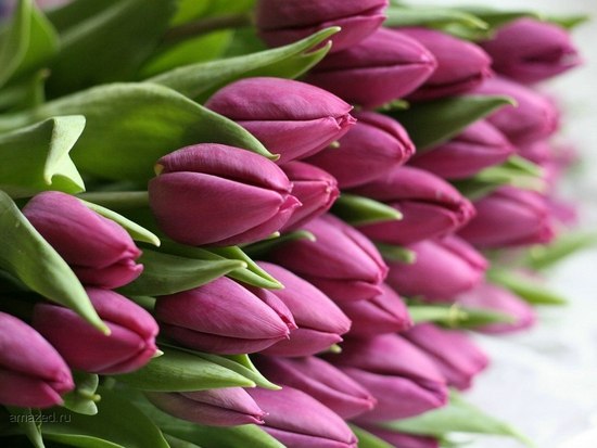 Ольга Смирнова | Ялта