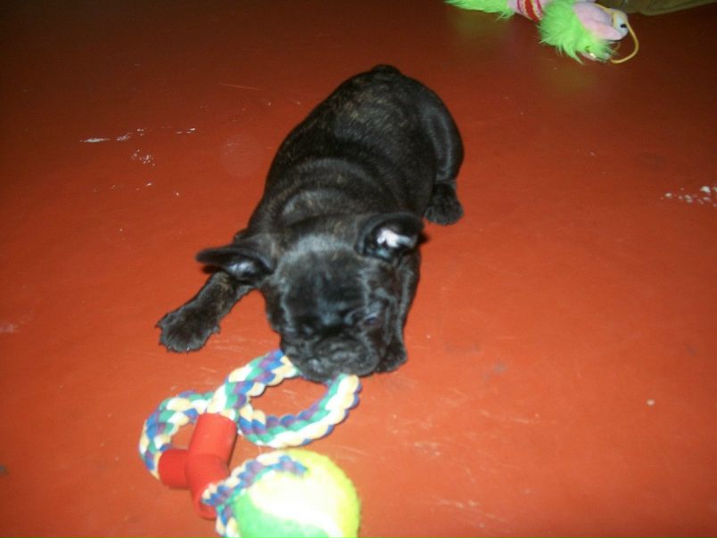 №38, Михаил Прохоров, 46 лет, Харьков №38, Михаил Прохоров, 46 лет, Харьков