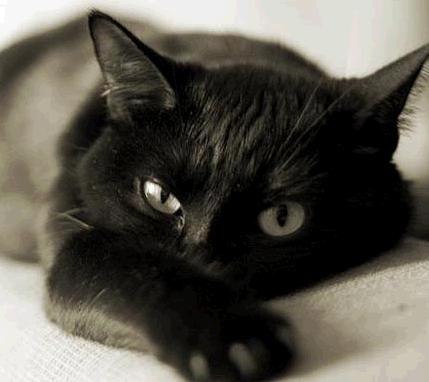 Ольга Лушутина | Ville-la-Grand