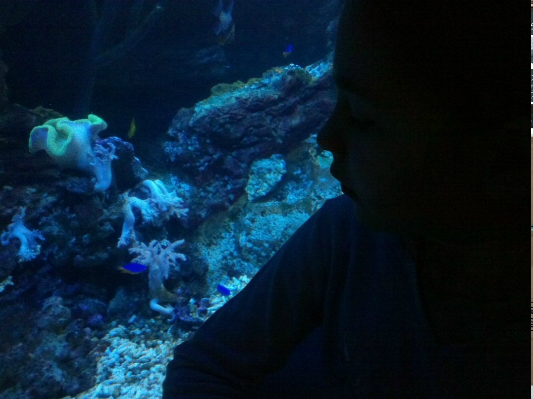 Игорь Ульрих | Санкт-Петербург