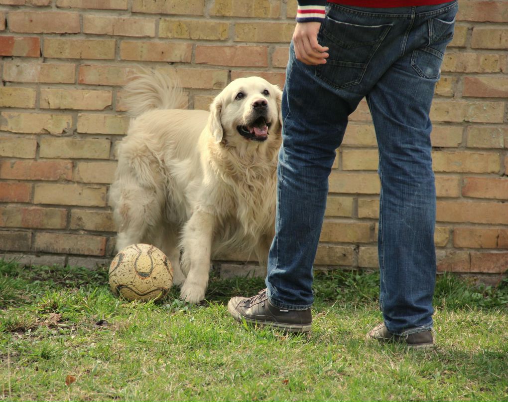 Mihail Moskalenko | Киев