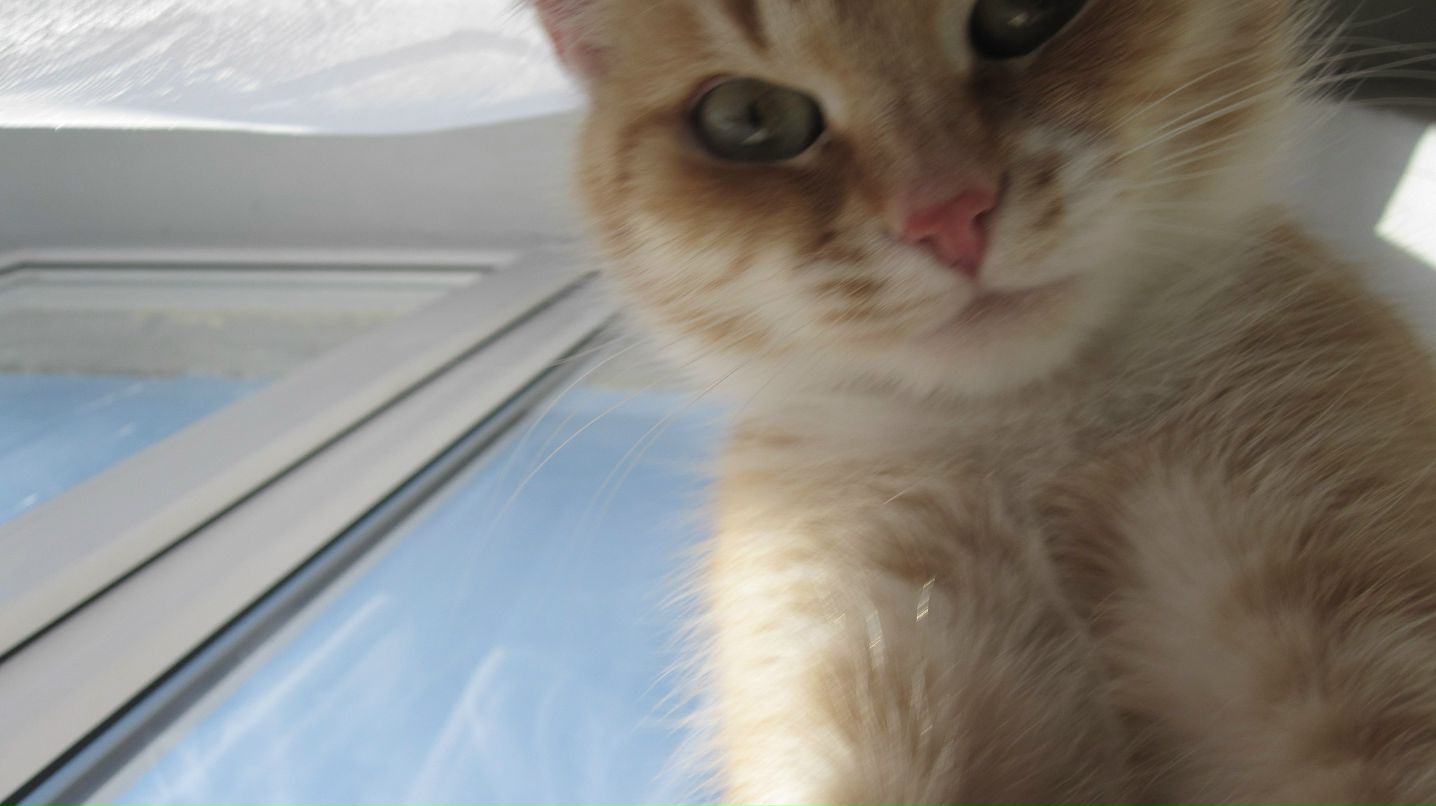 Юра Березюк | Брест