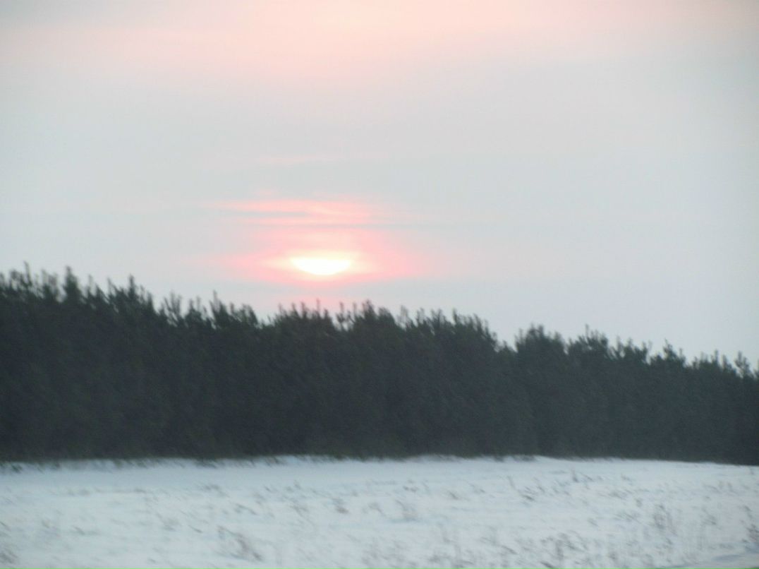 Айдар Хазиев | Набережные Челны