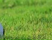 Сергей Антко - и - Светлана | Николаев