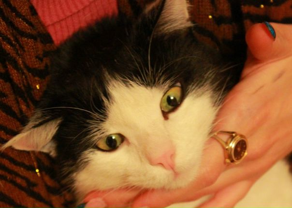 №18, Наталья Алференкова, Москва №18, Наталья Алференкова, Москва