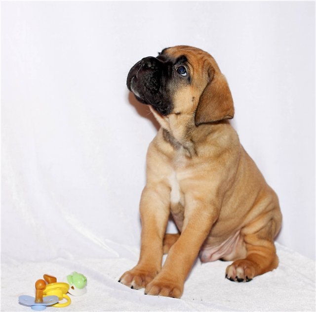 Маргарита Батц | Новосибирск