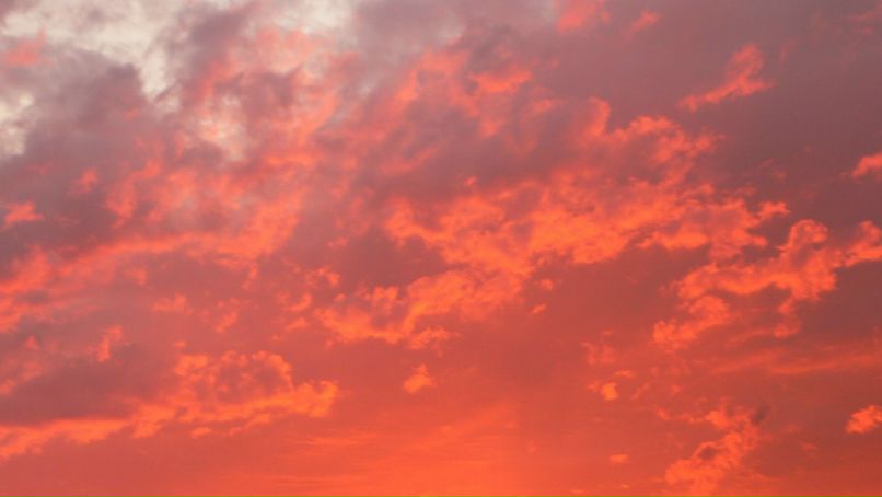 Дмитрий Долгалёв | Алматы