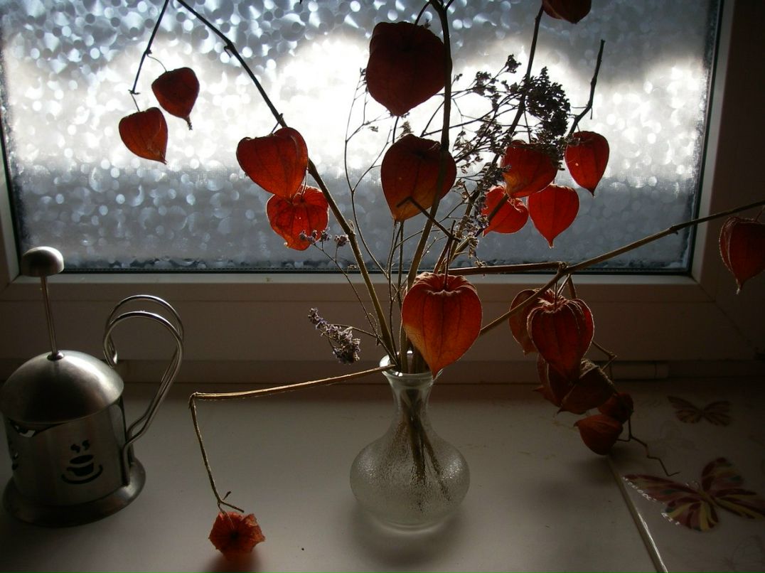 Мария Левандовская | Херсон