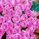 №106, Анна Рябова, Киев №106, Анна Рябова, Киев