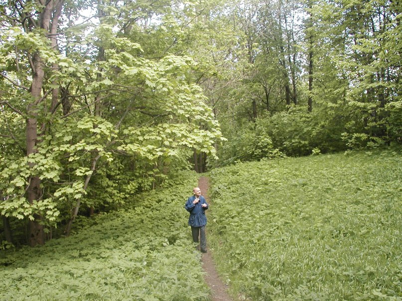 Ирина Клименко | Санкт-Петербург