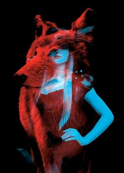 Екатерина Алексеева | 