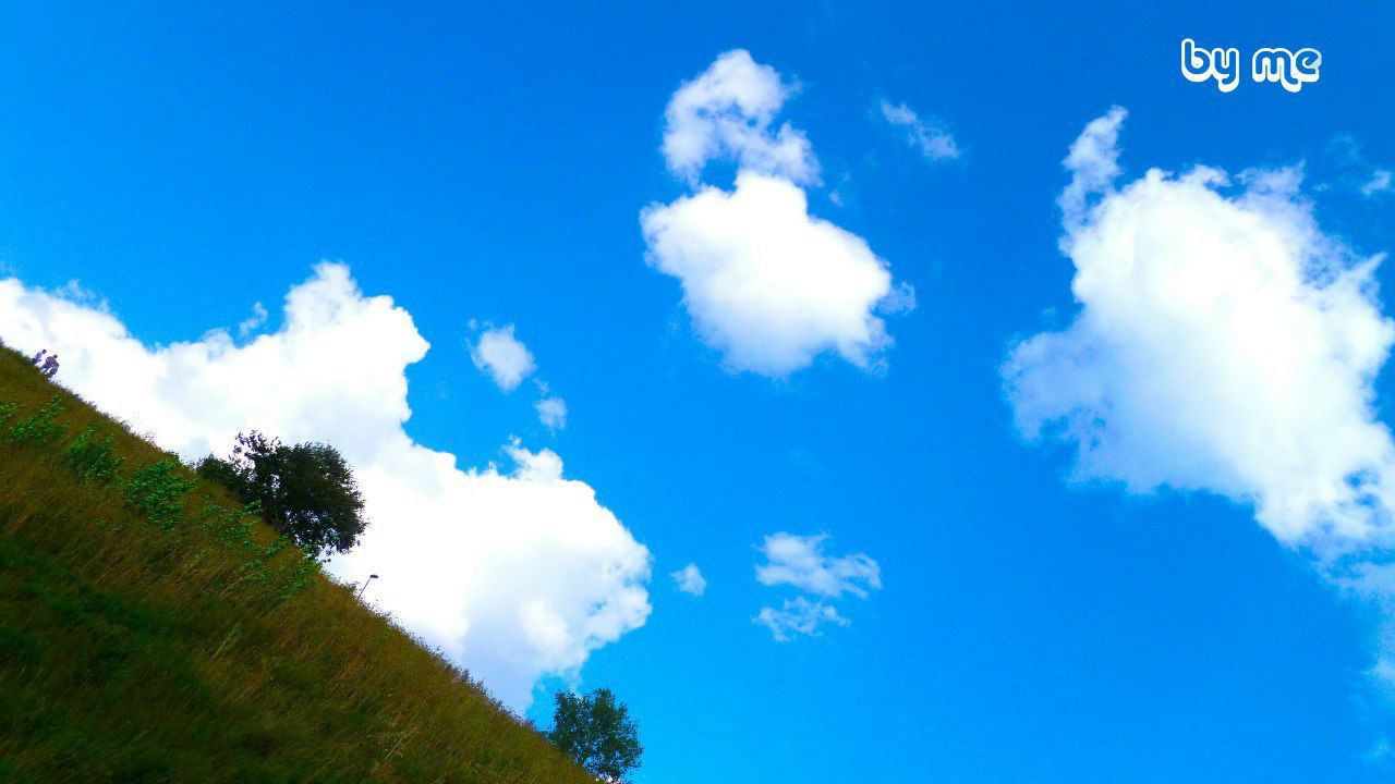 Undead Not-Dead | Гала (Азизбеков)