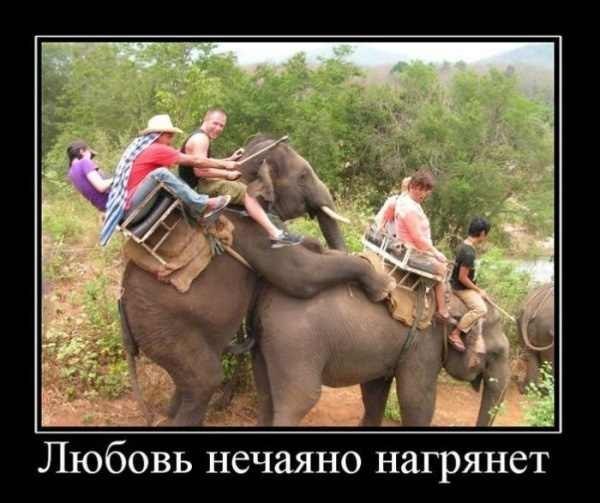 Александр Узнак | 