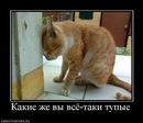 Фотография Гонды Серёги