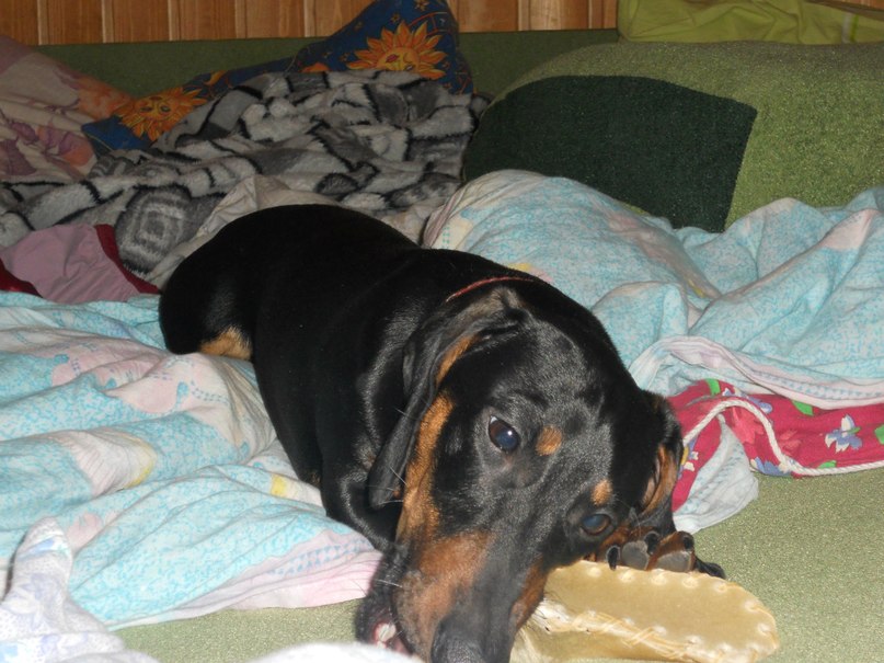 Софья Романовская | Санкт-Петербург