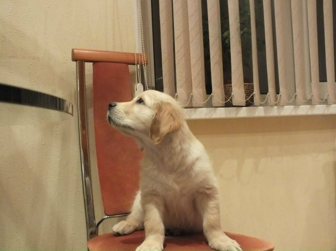 Татьяна Липская | Санкт-Петербург