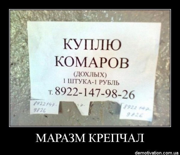 Александр Васильевич | Москва