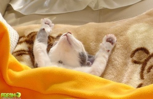 Jesus Christ | Новосибирск