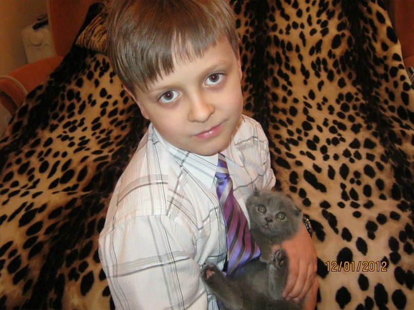 Андрей Жижонков | Севастополь