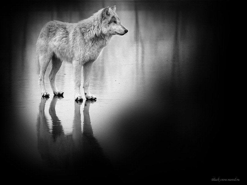 Татьяна Герасименко | 