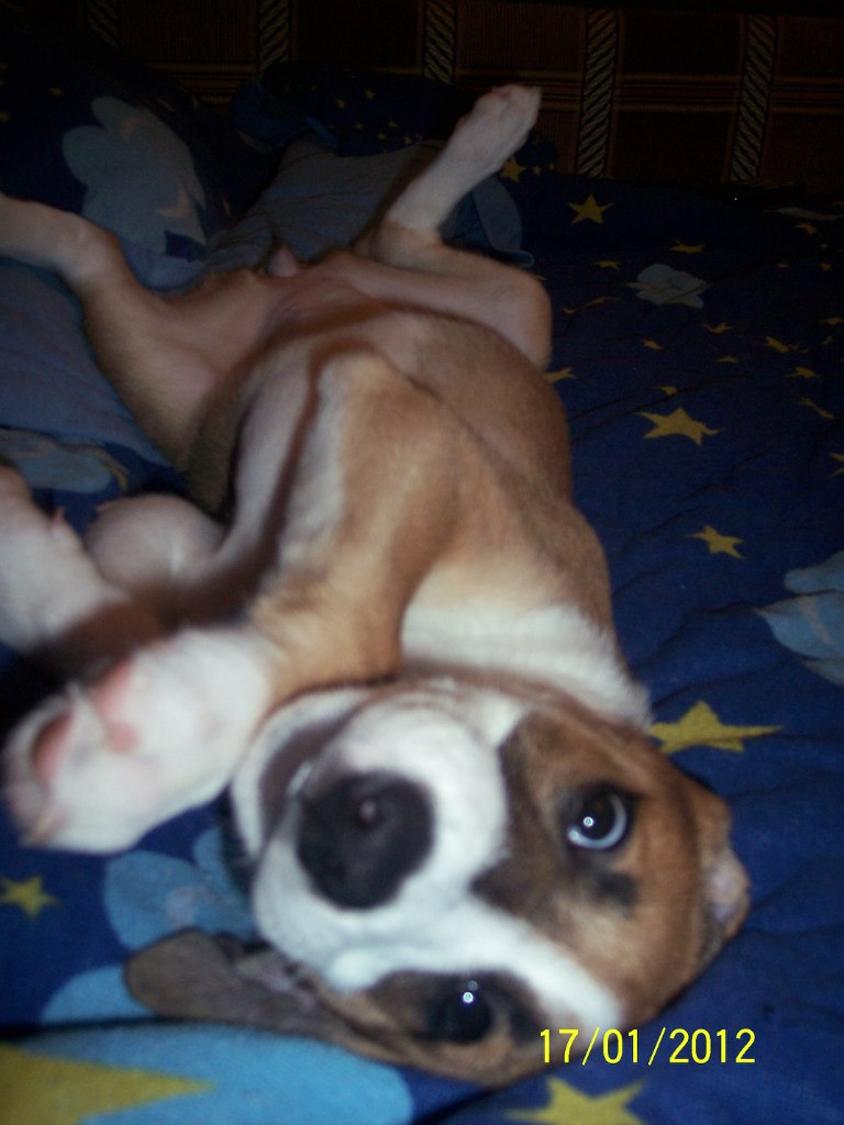 Алёнка Шахай | Усинск