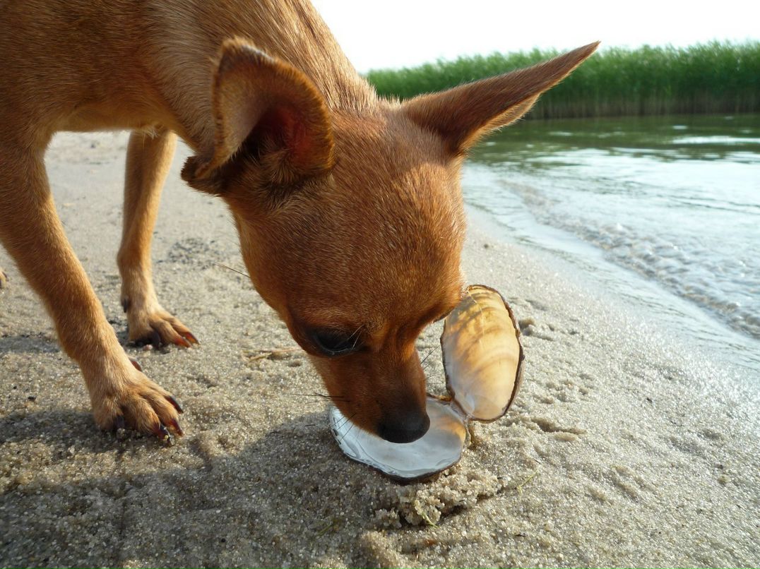 Александр Никитич | Омск