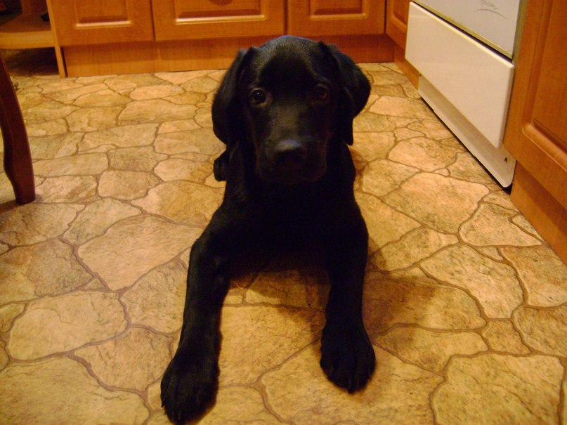 Паша Роскин | Мурманск