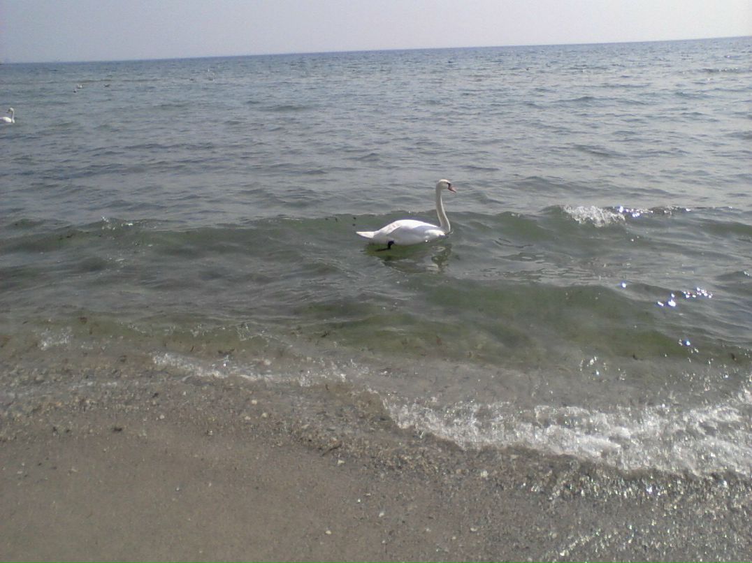 Ольга Макеева | Москва