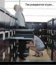 Фотография Недокушевой Ани