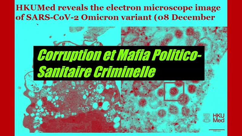 Corruption et Mafia Politico Sanitaire