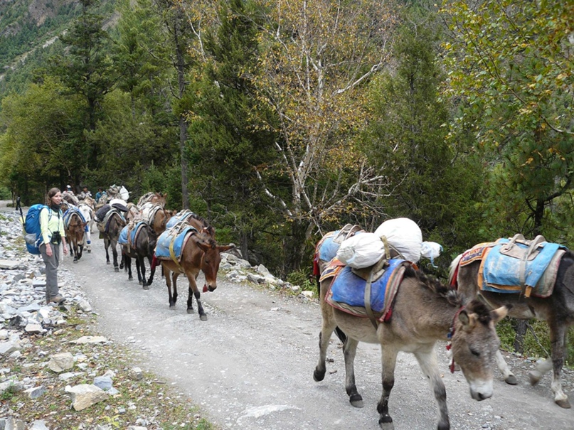 Андрей Бортников | Москва