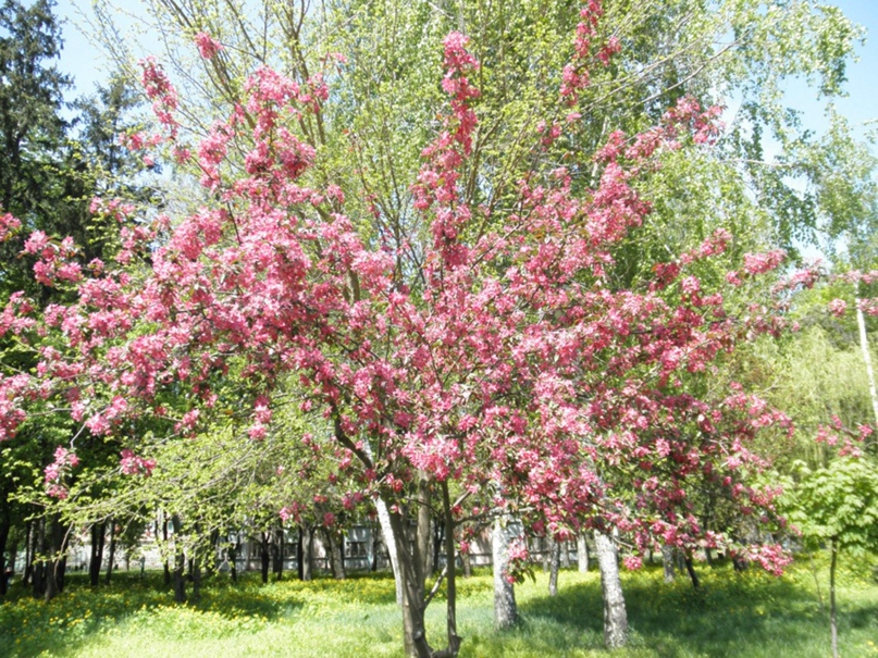 Даша Мельник | Киев