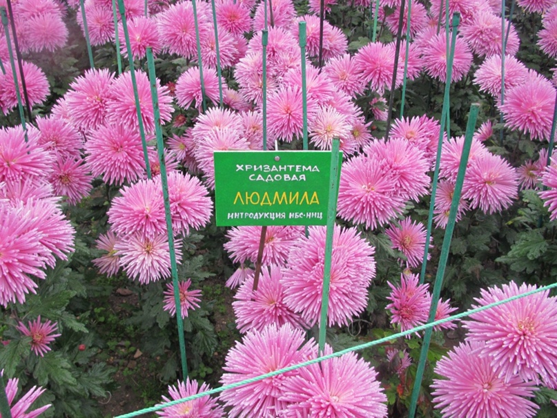 Оксана Маляренко | Запорожье