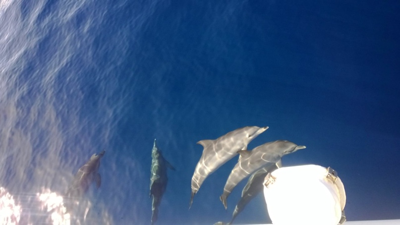 Сергей Самошин | Санкт-Петербург