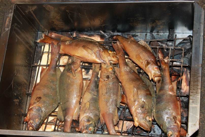 Паха Мурза | Санкт-Петербург