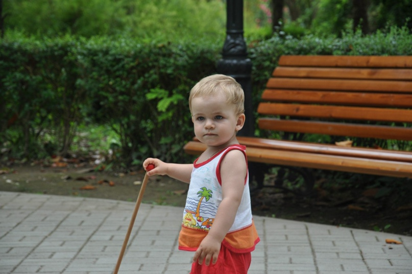 Дарья Голубева |