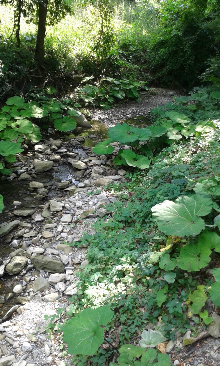 Надежда Яковлева | Москва