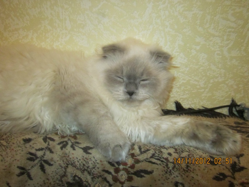 Иван Нефедов | Череповец