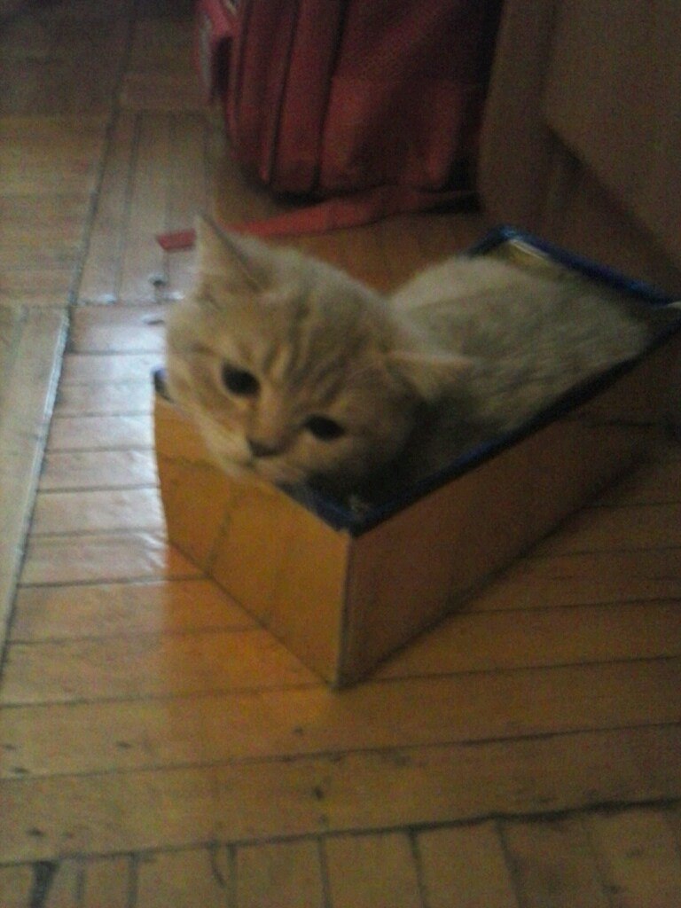 Наталья Красникова Александровна | Санкт-Петербург