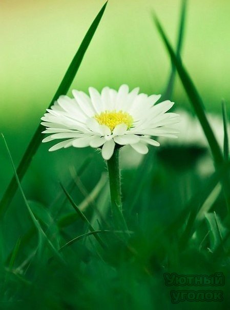 Наталья Хуснутдинова | Уфа