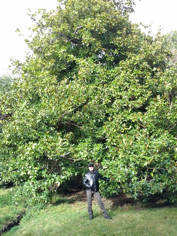 Павел Иванюк | Херсон