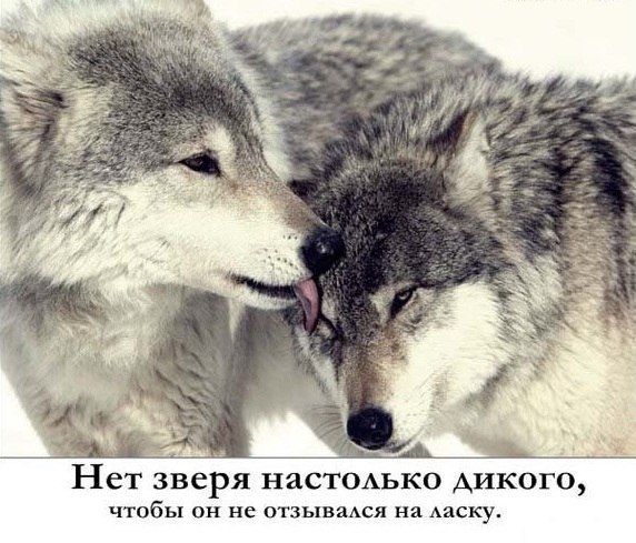 Влад Зорин | Йошкар-Ола