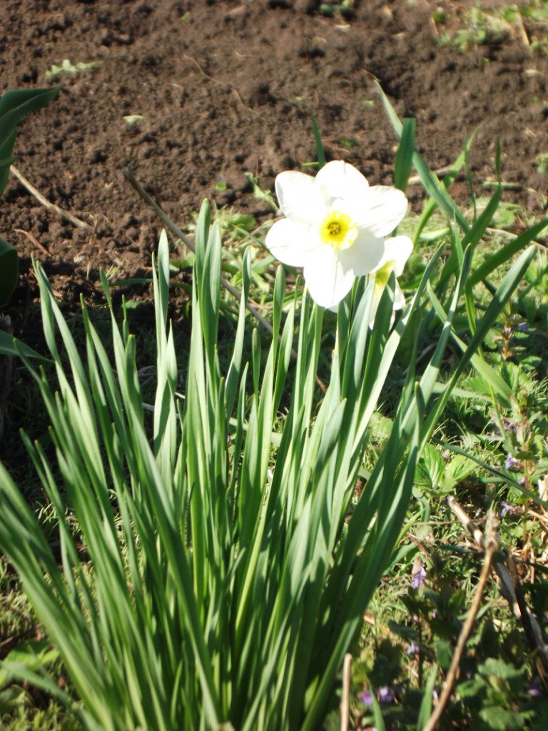 Елена Абрамцева | Самара