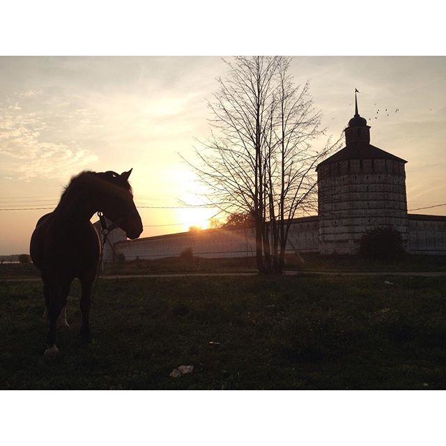 Роман Мирошниченко | Абинск